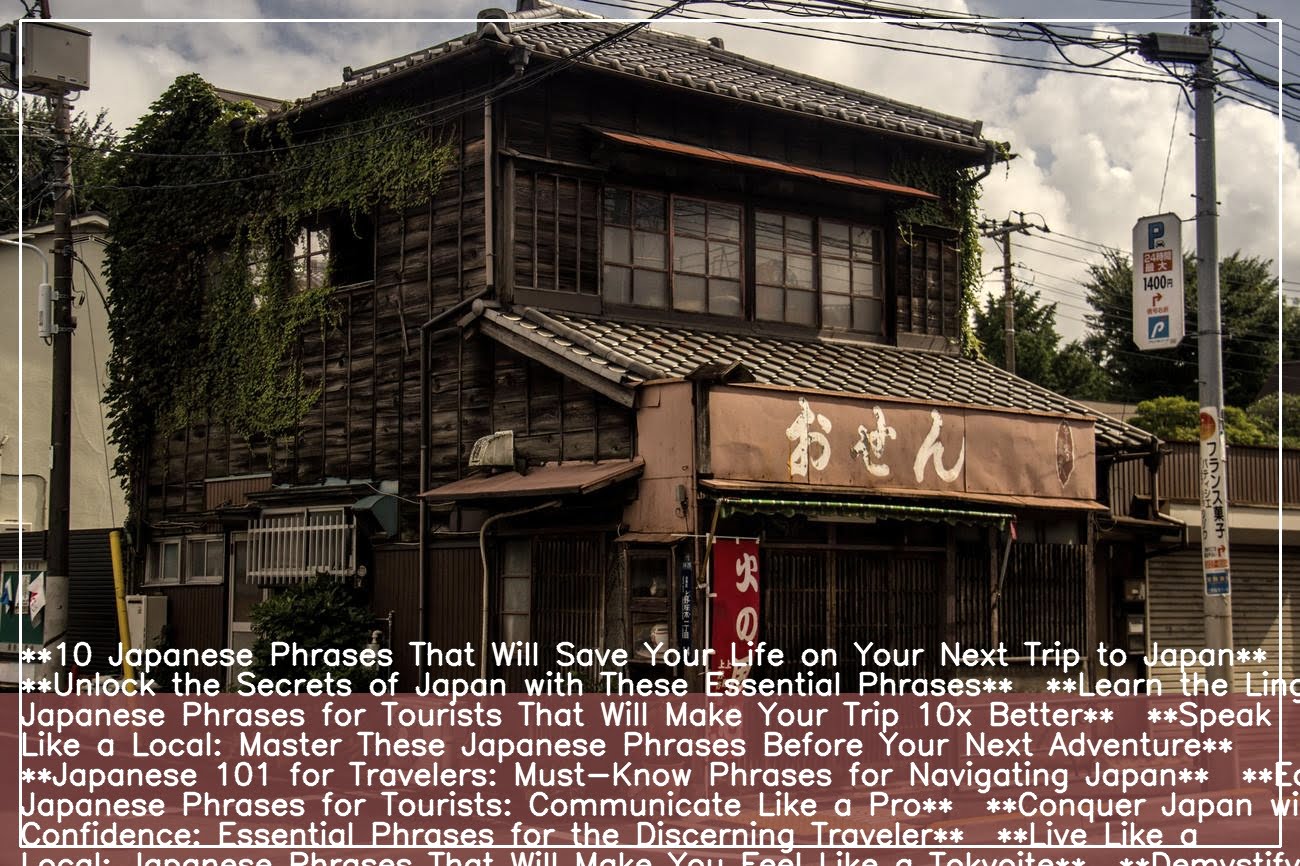 Basic Japanese Phrases For Travel A Guide For Navigating Japan S