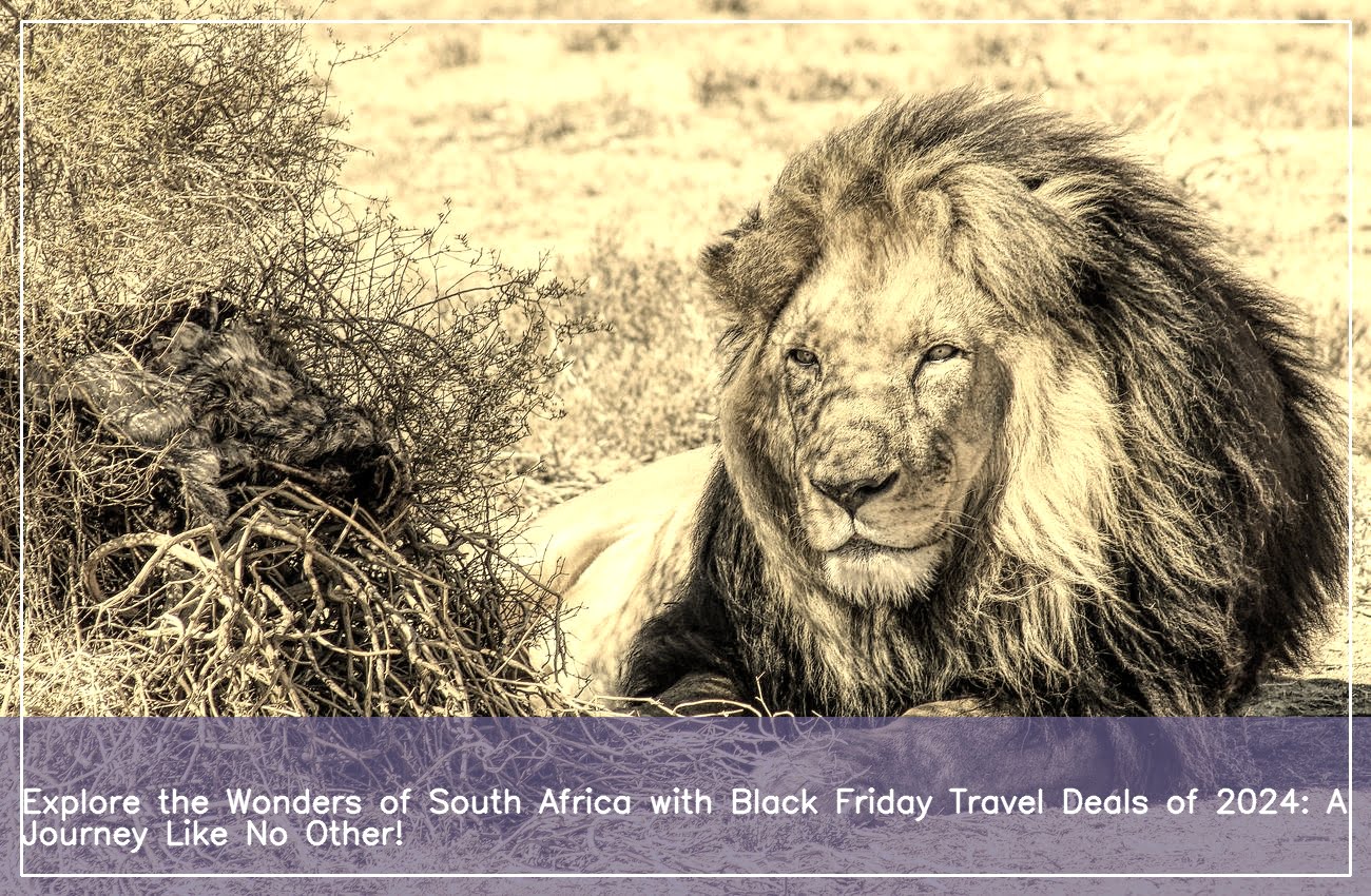 Discover the Ultimate Black Friday Travel Deals to South Africa in 2024