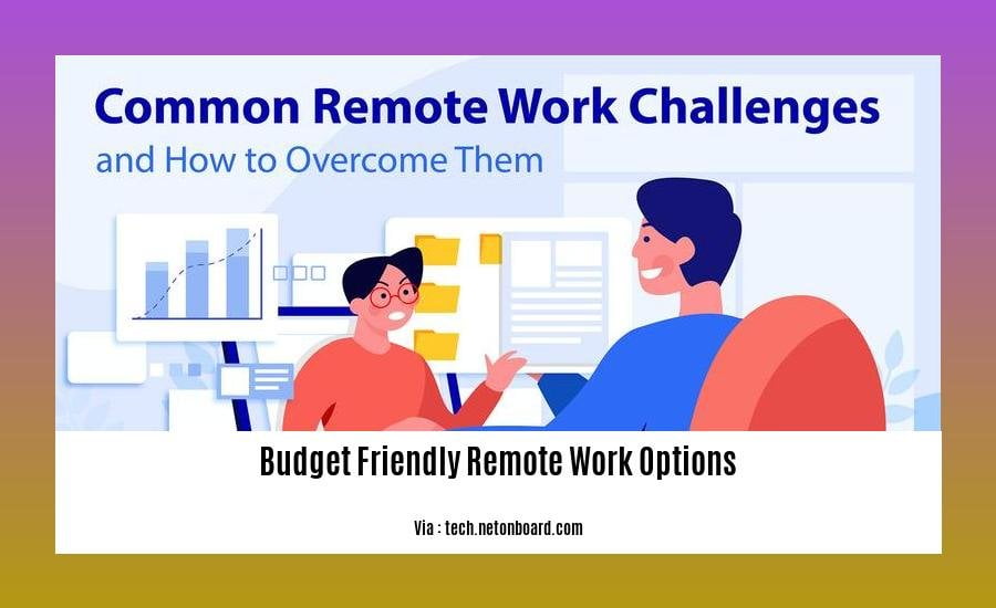 budget friendly remote work options