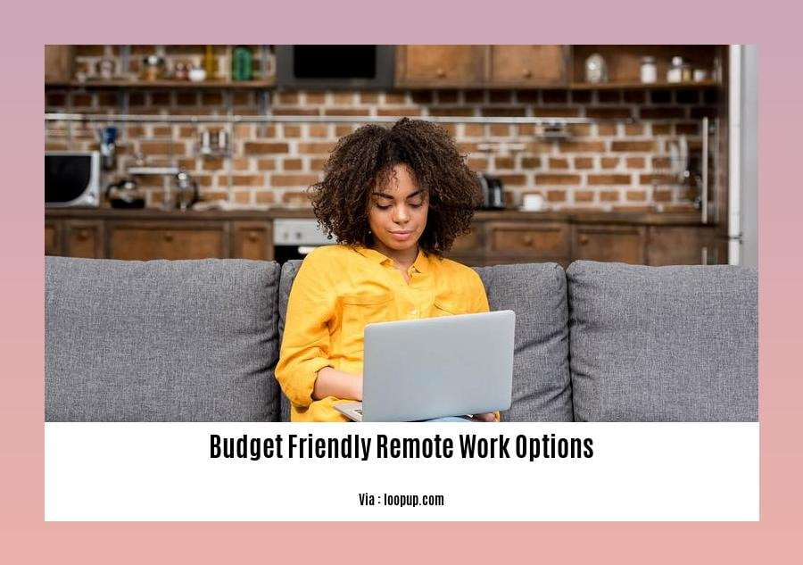 budget friendly remote work options