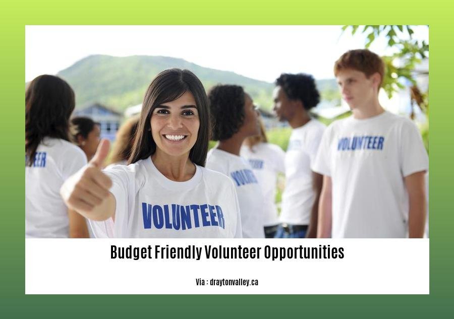budget friendly volunteer opportunities