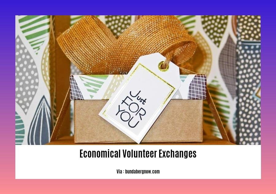 economical volunteer exchanges